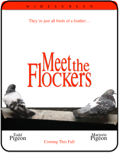 Flockers2